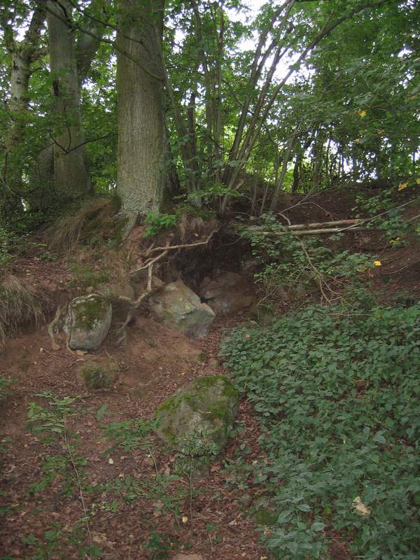 naechstes