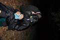 Picture 184