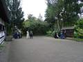 Picture 35